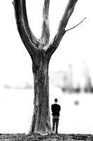 Under the tree